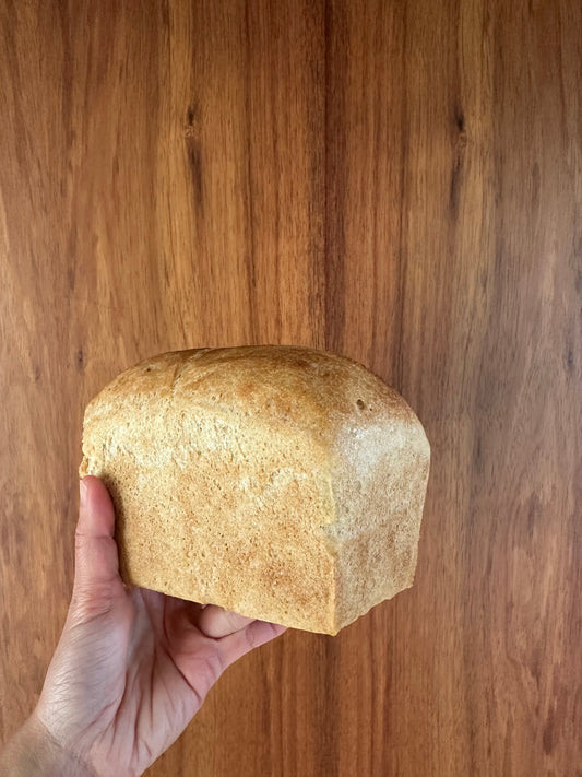 Easiest Gluten Free Bread (1-Hour Bread)