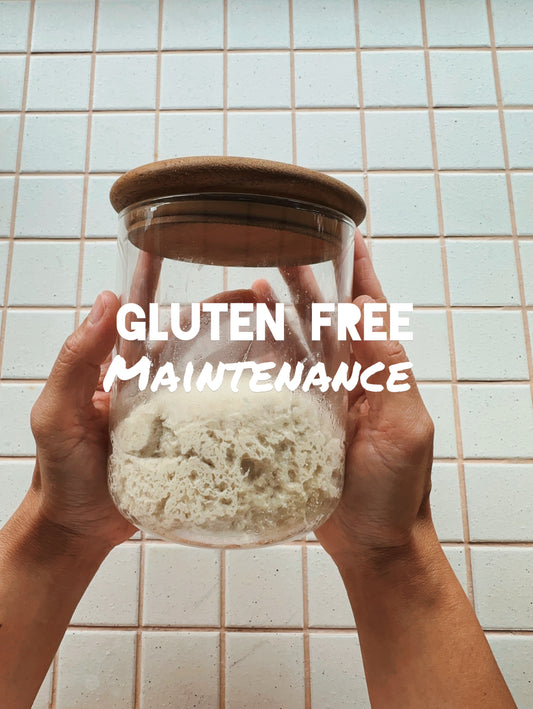 GLUTEN-FREE STARTER USAGE & MAINTENANCE