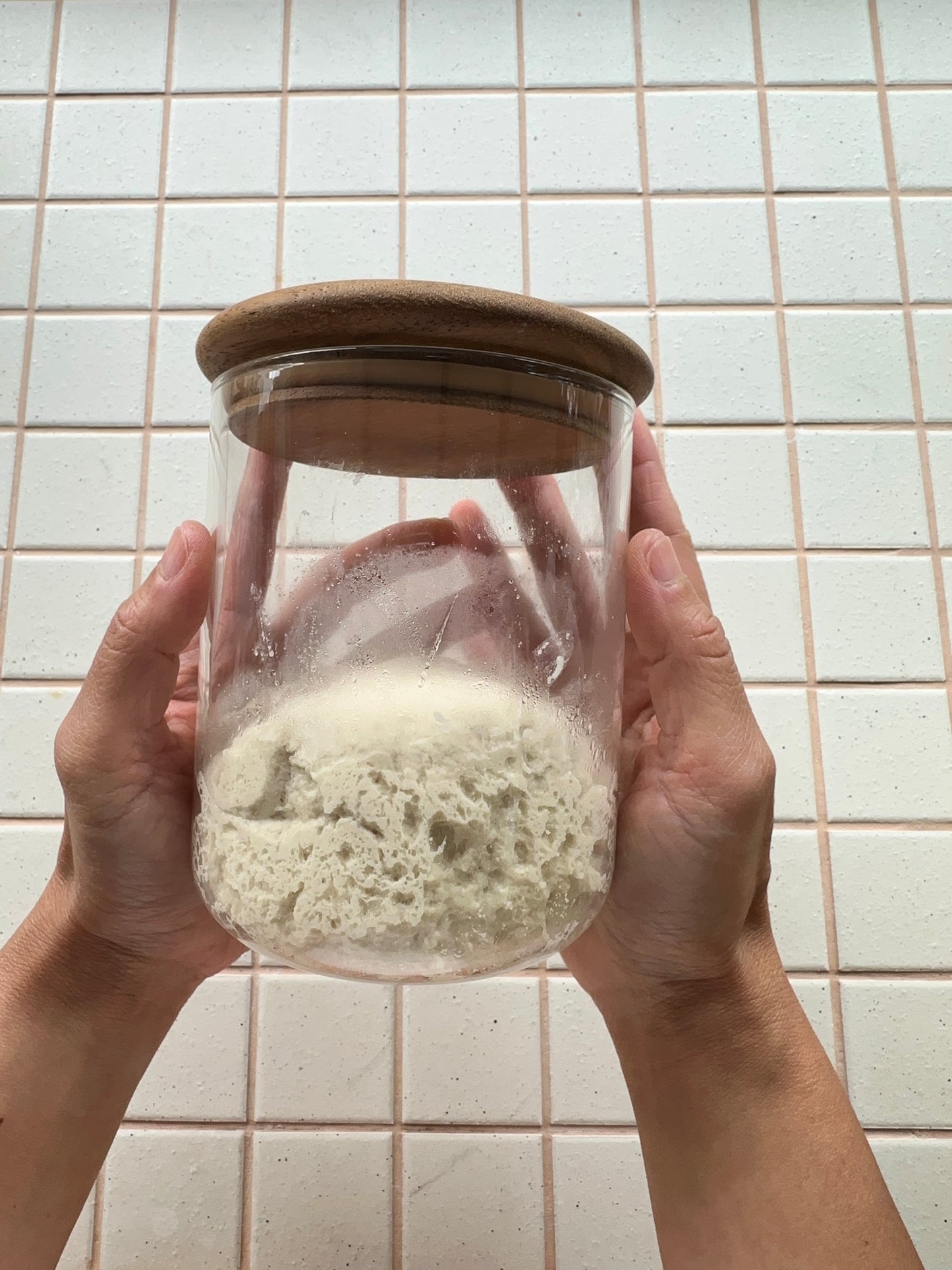 Gluten-Free Sourdough Starter Flakes