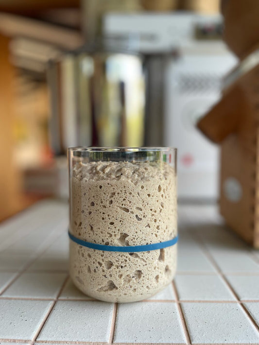 HOW TO MAKE YOUR OWN SOURDOUGH STARTER