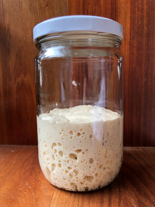 How to Keep Your Sourdough Starter Strong and Happy