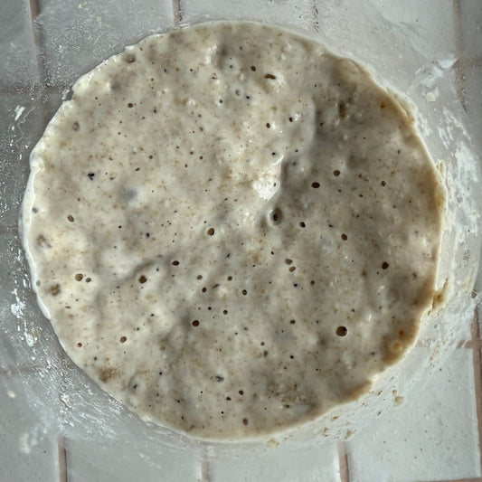 Cold Weather Sourdough Starter Maintenance: How to Keep Your Starter Active Through Winter
