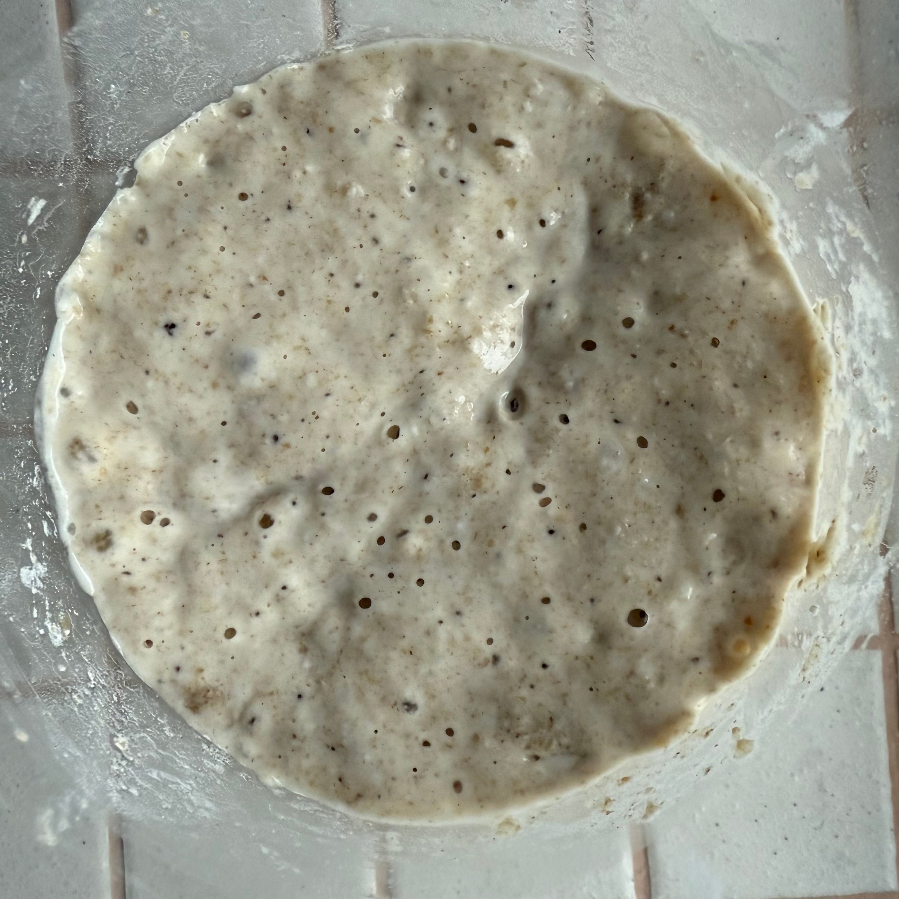 Cold Weather Sourdough Starter Maintenance: How to Keep YouCold Weather ...