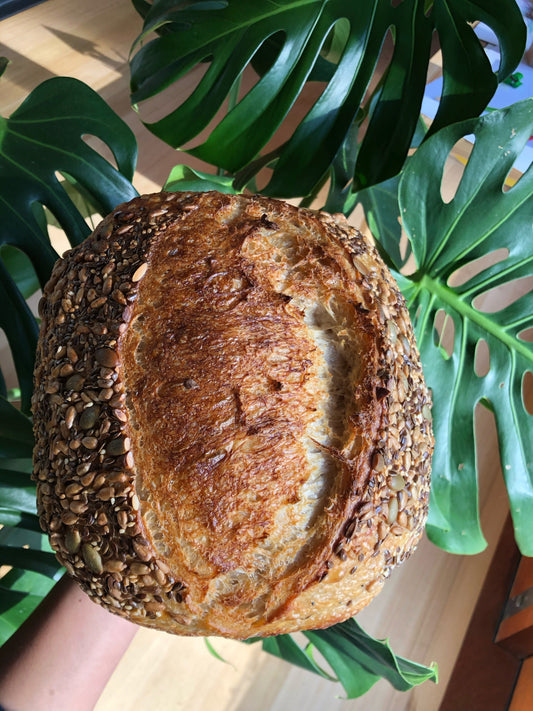 Sourdough Tips for Bakers in Tropical North Queensland