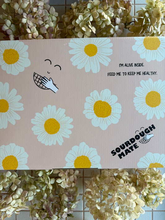 Gift Box + Custom Message