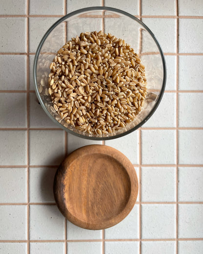 Sourdough Mate Starter Jar