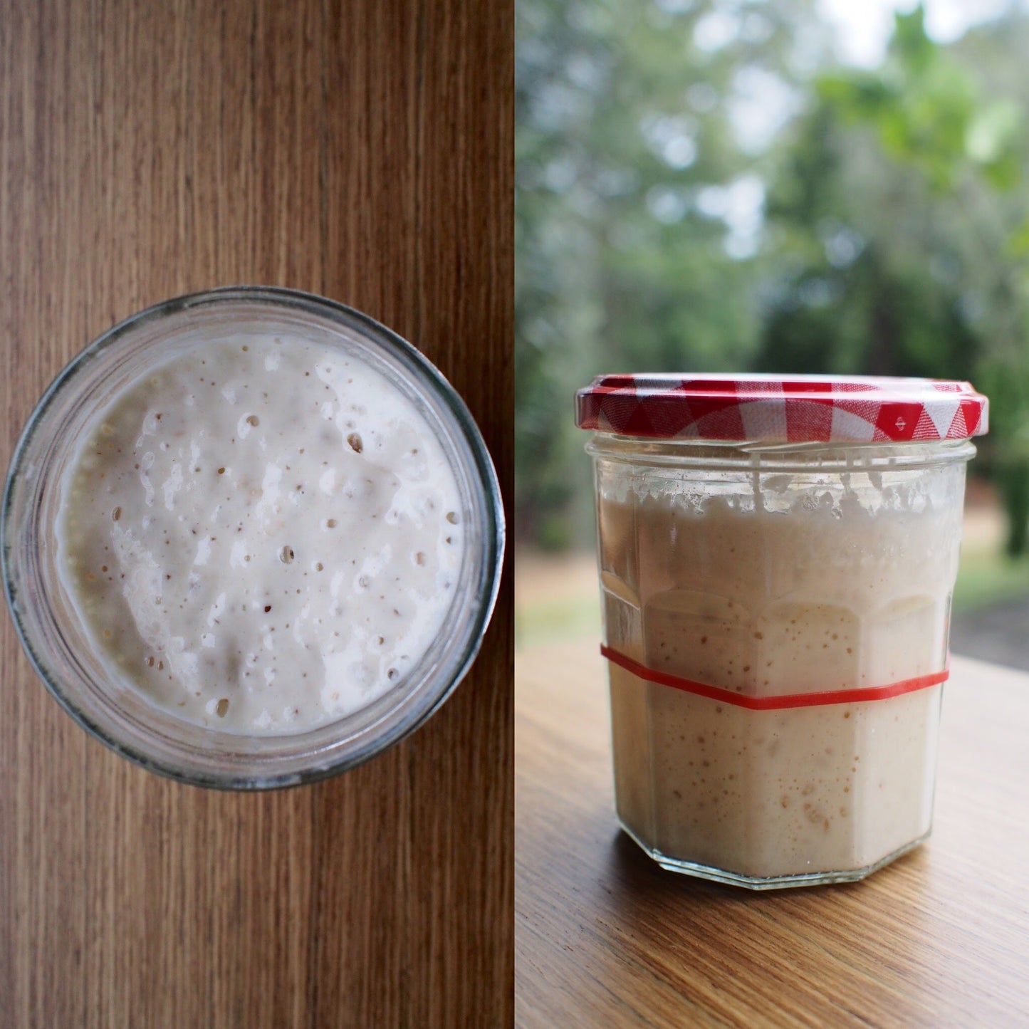 An active starter within 24 hours 