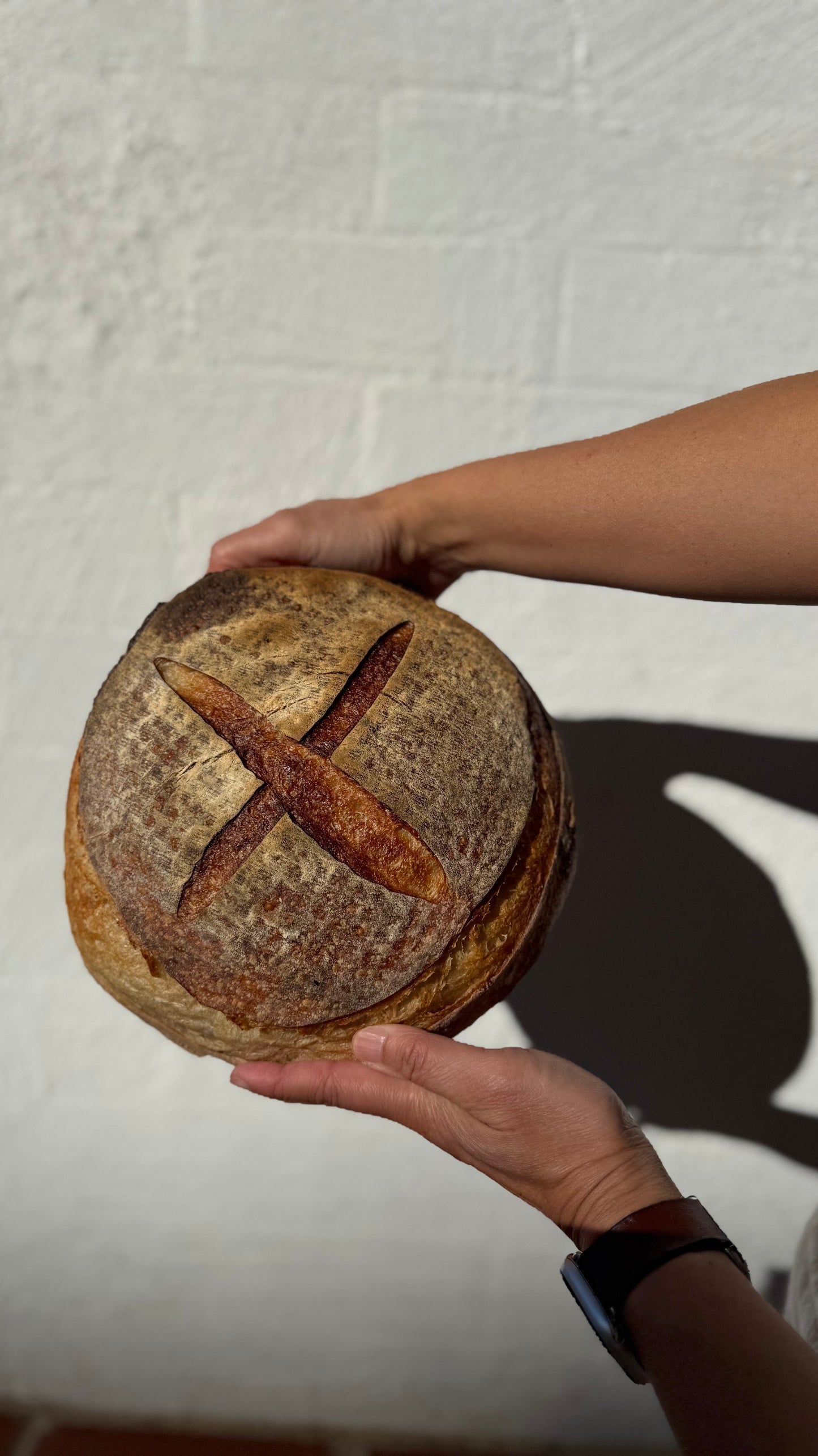 A round artisanal sourdough bread loaf held by two hands against a white textured wall. The bread has a golden-brown crust with a scored cross on top.