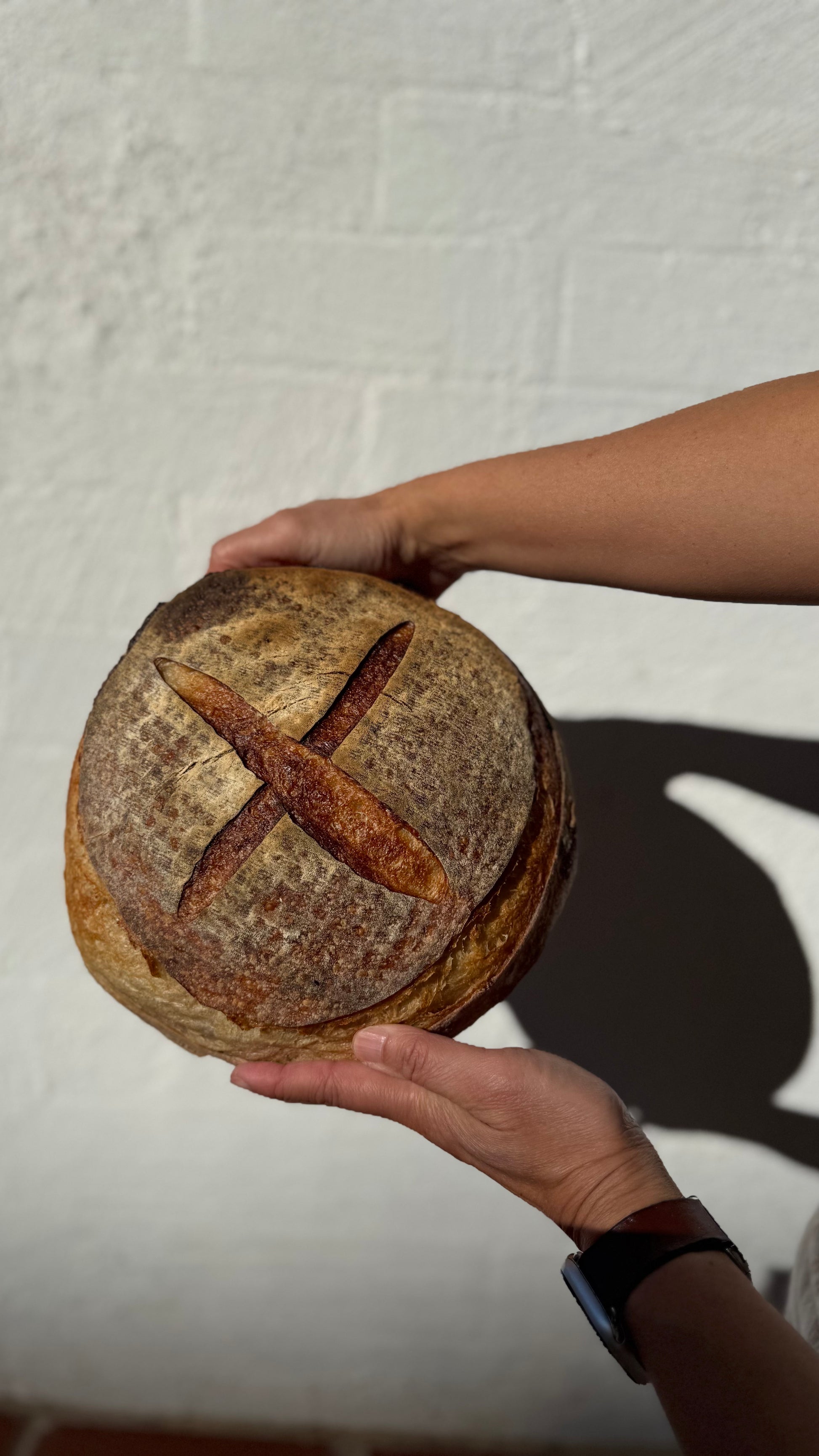 A round artisanal sourdough bread loaf held by two hands against a white textured wall. The bread has a golden-brown crust with a scored cross on top.