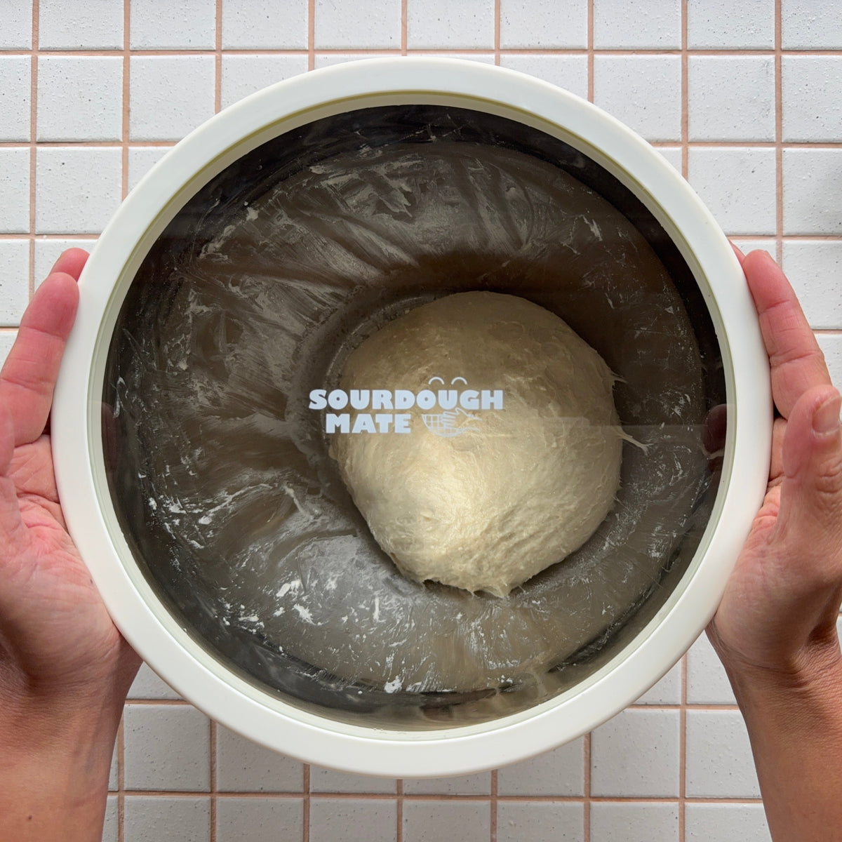 mixing bowl with glass and silicon lid for sourdough