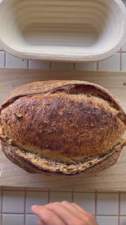 Bread Knife Tojiro Japan