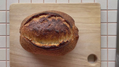 Classic Organic Wheat Sourdough Kit + Oven — Bundle & Save $59.75