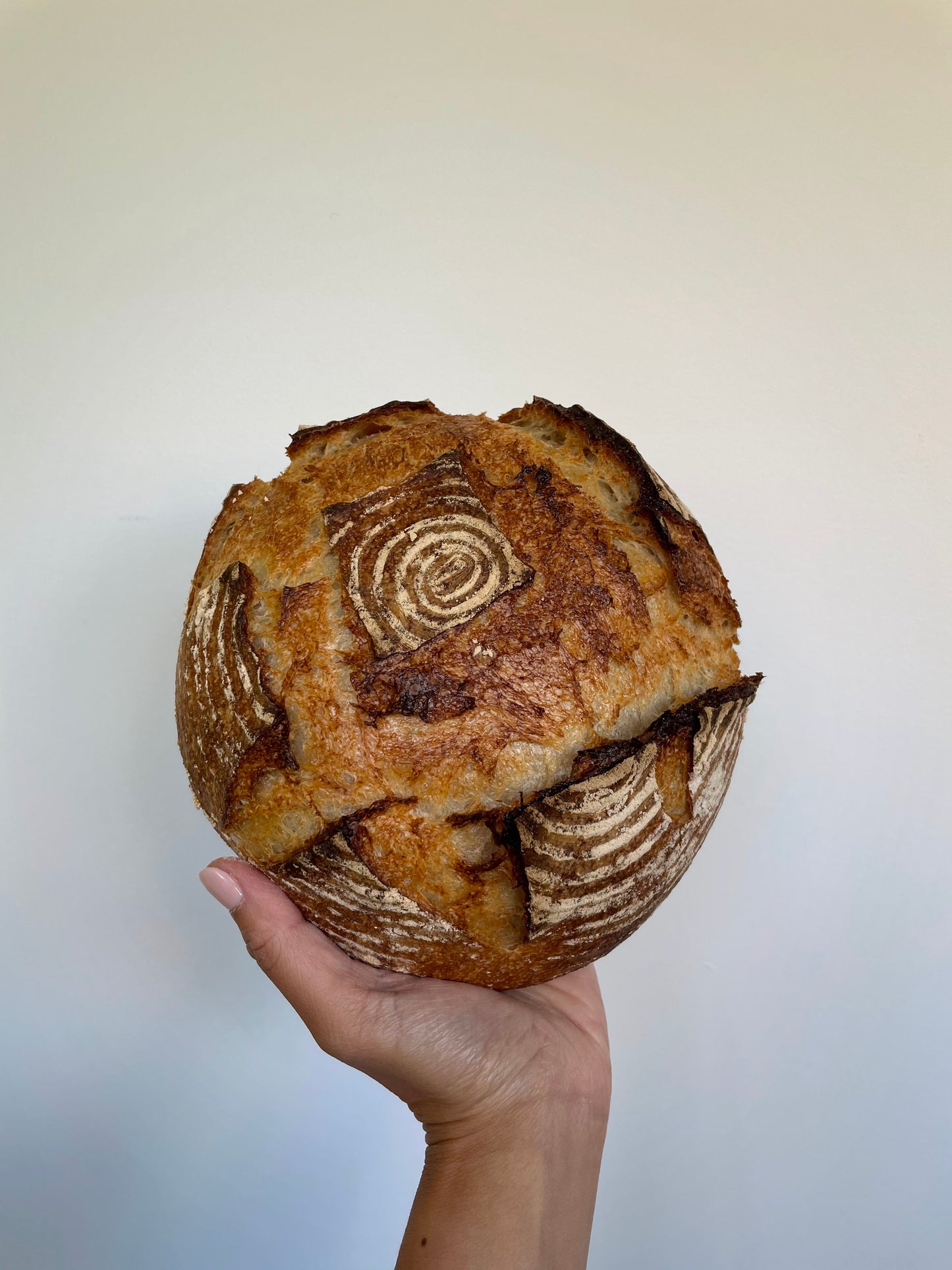 Buy 2 & Save 25% – Small Round Spiral Banneton
