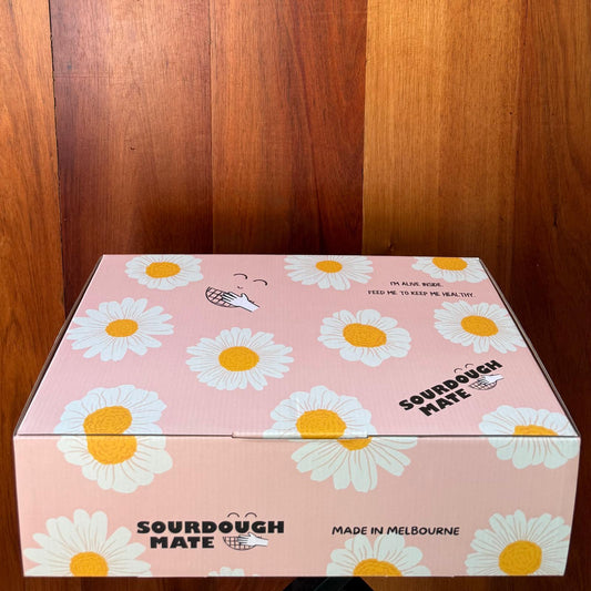 Gift Box + Message
