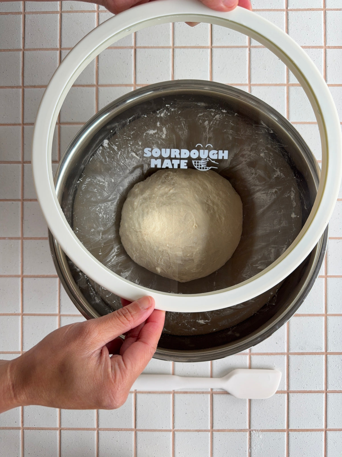 bread mixing bowl with lid