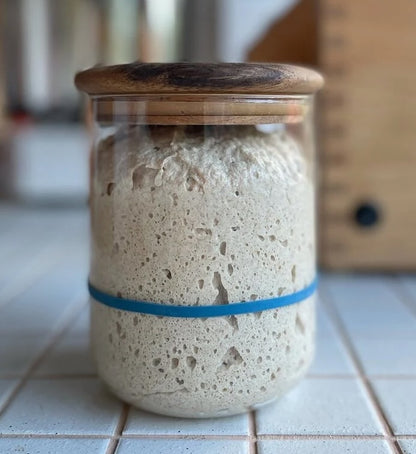 Complete Sourdough Fermentation Bundle: Save 20%